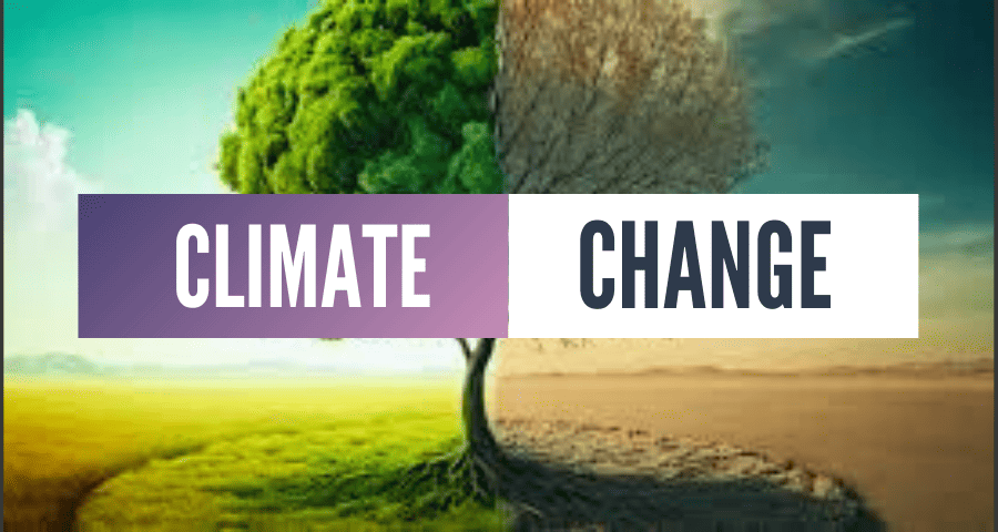 Climate Change Adaptation Strategies and Effects of Climate Change